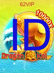 DragonKoi